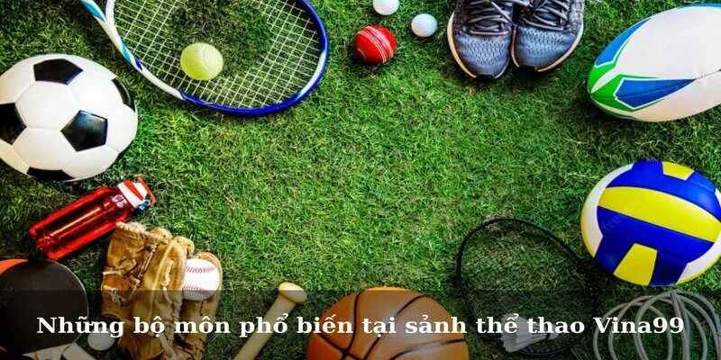 Những bộ môn phổ biến tại sảnh thể thao Vina99